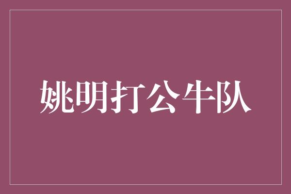 公牛队！姚明的巅峰之战 挑战公牛队的传奇