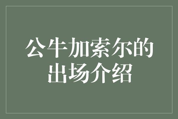 公牛队！永不退役的传奇——公牛加索尔的出场介绍