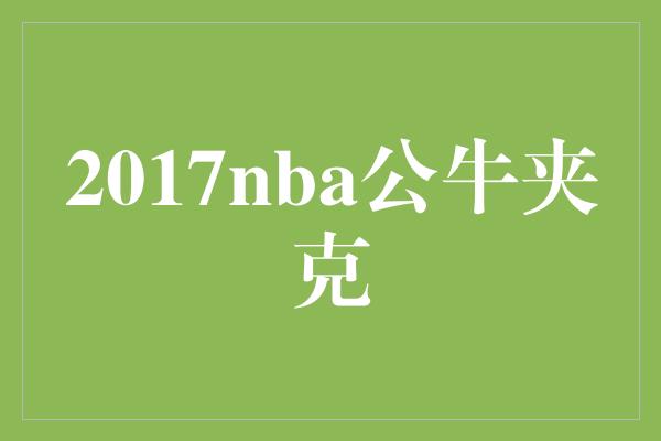 2017nba公牛夹克