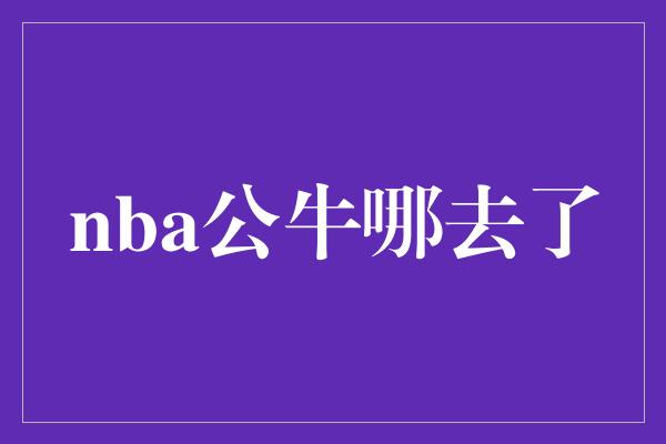 nba公牛哪去了