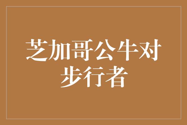 象征！热血对决！芝加哥公牛迎战步行者