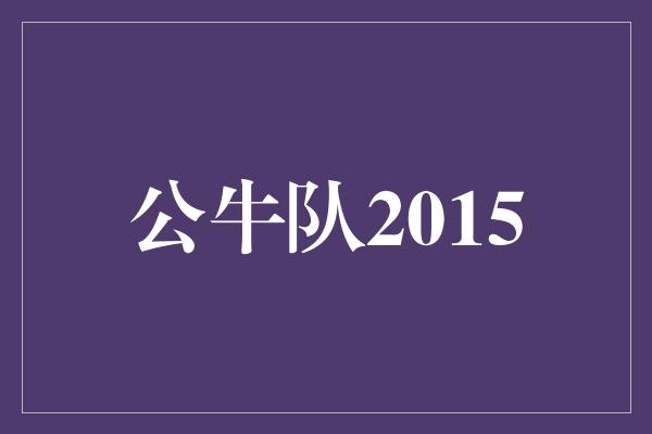 公牛队！重返巅峰！公牛队2015 英勇战斗，激荡篮坛