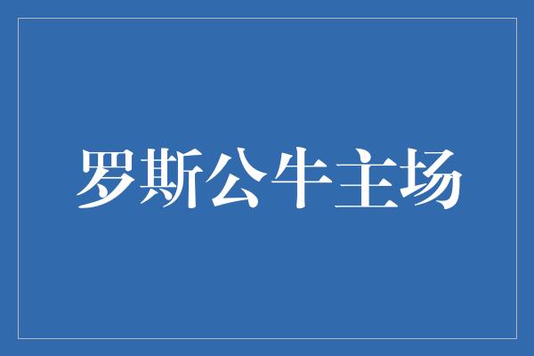 罗斯公牛主场