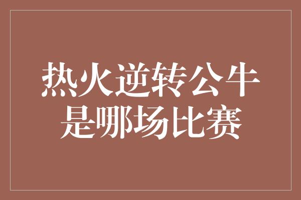 热火逆转公牛是哪场比赛