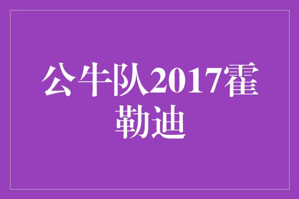 公牛队！公牛队2017霍勒迪 新赛季的希望之光