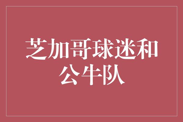 芝加哥球迷和公牛队