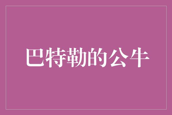 公牛队！巴特勒的公牛 领袖之师闪耀篮坛