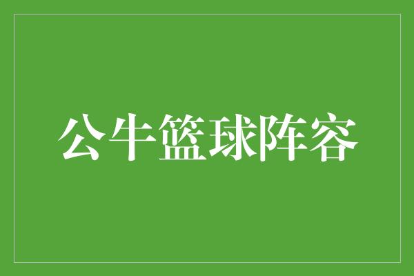 公牛队！神奇的公牛篮球阵容，引领风云！