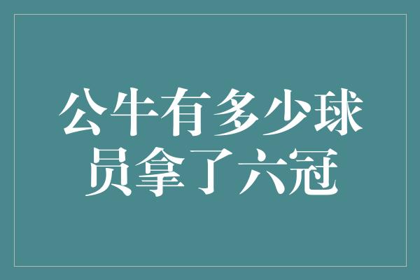 公牛有多少球员拿了六冠