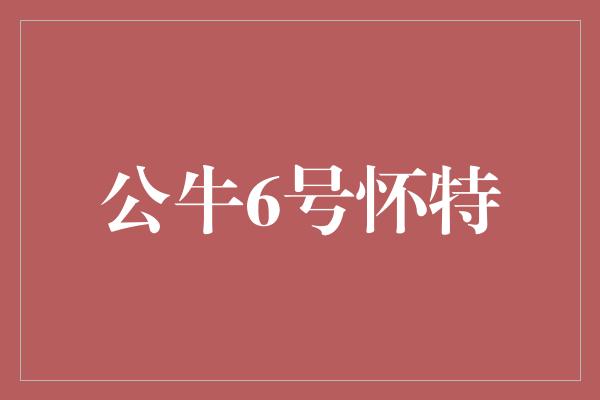 公牛6号怀特