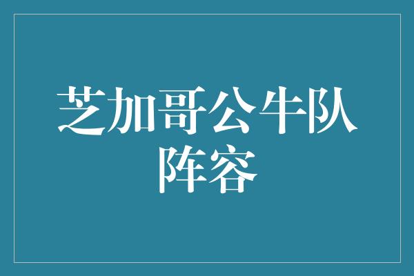 公牛队！芝加哥公牛队 新世纪的篮球传奇