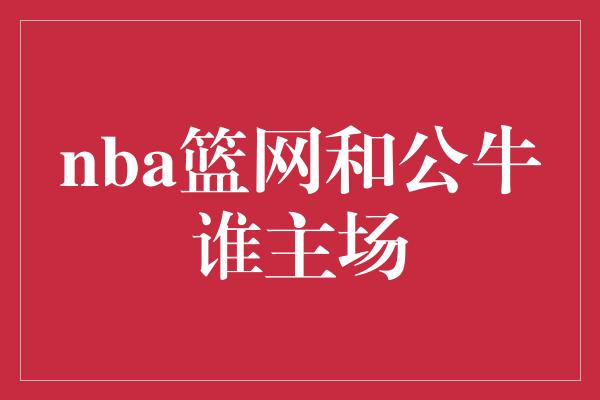 nba篮网和公牛谁主场