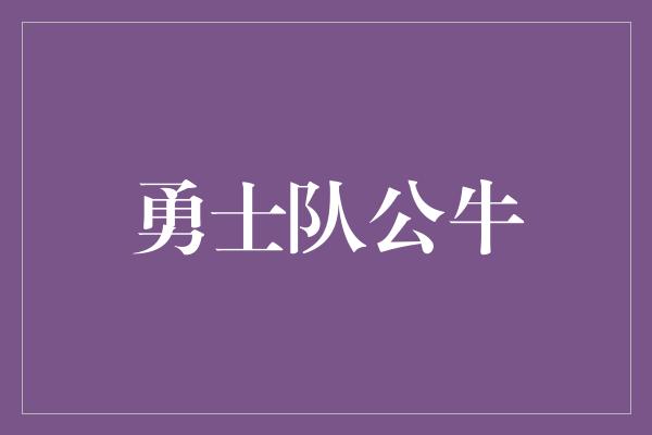 勇士队公牛