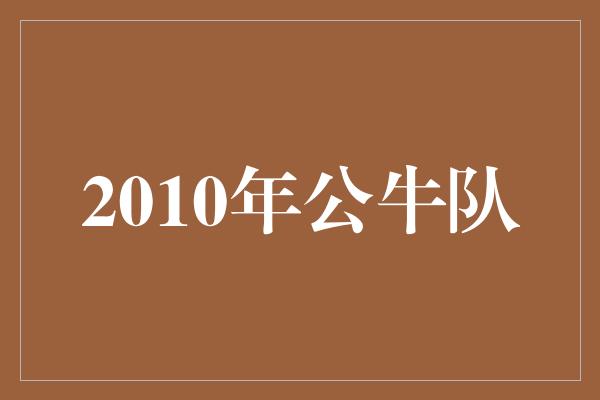 公牛队！重回辉煌！回顾2010年公牛队的传奇赛季