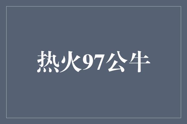 热火97公牛