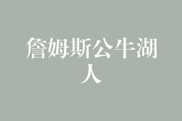 詹姆斯公牛湖人