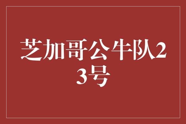 公牛队！芝加哥公牛队23号 传奇的诞生