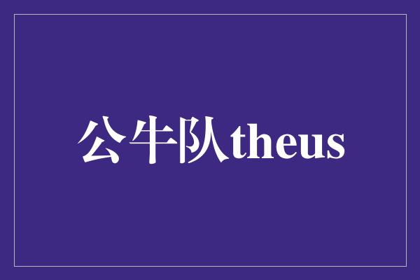 公牛队theus