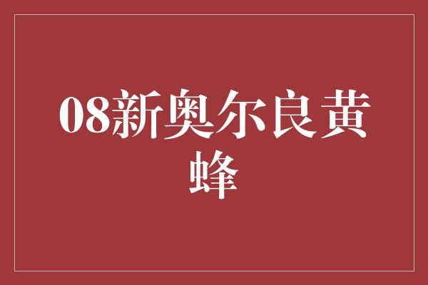 新奥尔良！重生之城，08新奥尔良黄蜂的传奇