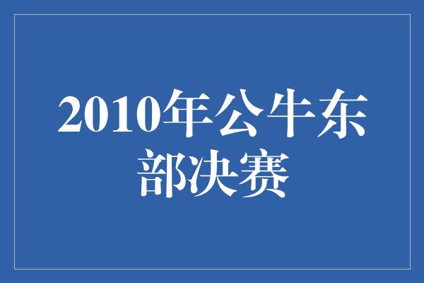 公牛队！回顾2010年公牛东部决赛 勇往直前的征程