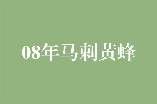 马刺！重返辉煌，08年马刺黄蜂勇征战场