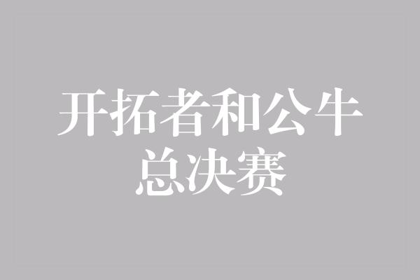 开拓者和公牛总决赛