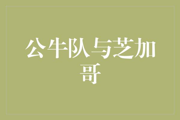 公牛队！创造传奇 公牛队与芝加哥的不解之缘