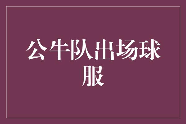 公牛队！公牛队出场球服，展现饱满力量与激情