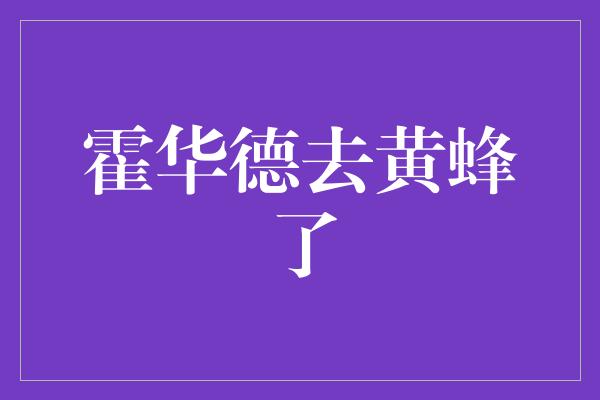 的人！霍华德加盟黄蜂，为他们带来新的活力与希望