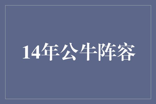 公牛队！14年公牛阵容 青春与坚韧的完美结合