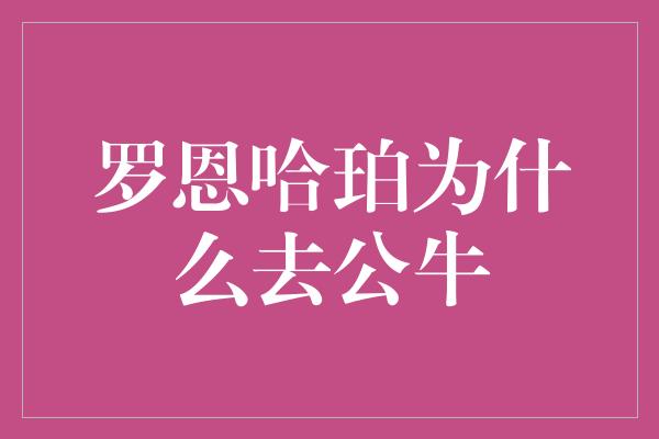 公牛队！罗恩哈珀为什么选择加入芝加哥公牛队