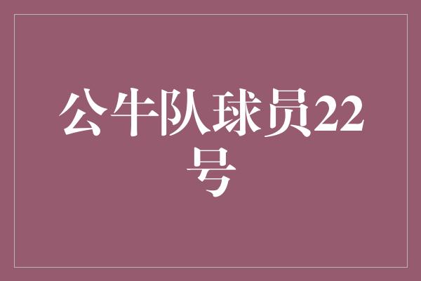 公牛队！公牛队22号球员 励志青年的篮球传奇