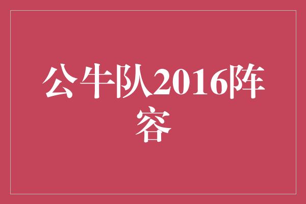 公牛队2016阵容