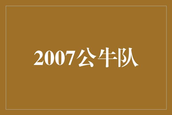 2007公牛队