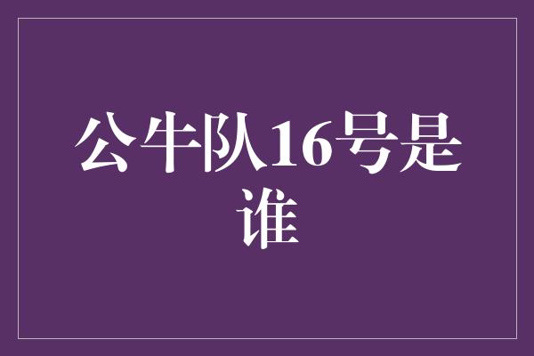 公牛队！探寻公牛队16号的传奇之旅