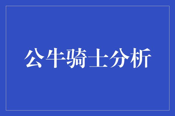 公牛骑士分析