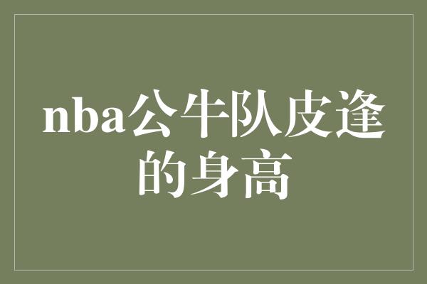 公牛队！燃爆NBA舞台！公牛队皮逢 探寻身高天际的巨星