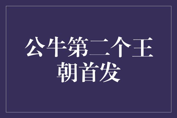 公牛队！重返巅峰！公牛第二个王朝再次崛起！