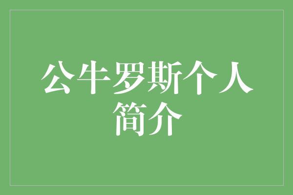 公牛队！罗斯 一个坚韧不拔的篮球传奇