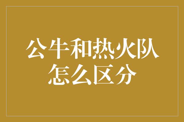 公牛队！公牛与热火 鲜明对比的NBA球队