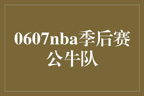 0607nba季后赛公牛队