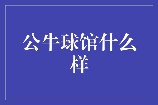 公牛球馆什么样