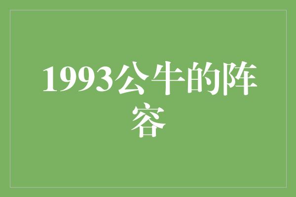 公牛队！1993公牛 传奇之年的辉煌阵容