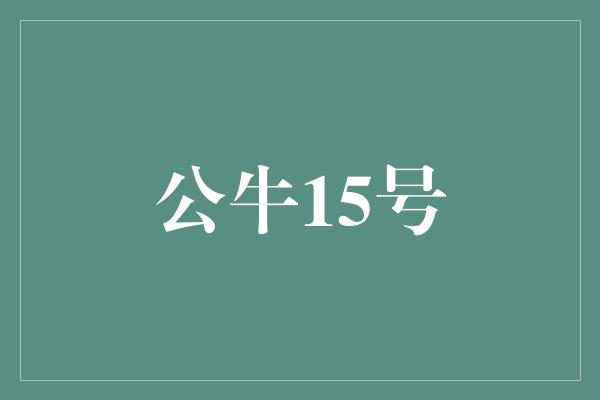 象征！勇往直前，公牛15号再次登顶