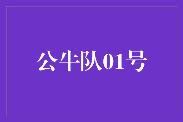 公牛队！胸怀豪情，勇攀巅峰——致敬公牛队01号