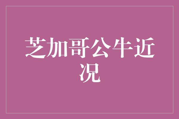 公牛队！重振雄风，芝加哥公牛再度崛起