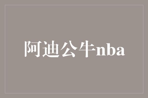 默契！迈向辉煌，阿迪公牛与NBA的传奇之旅