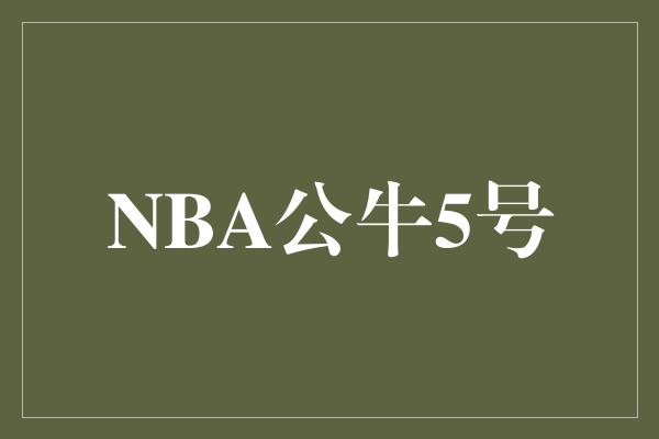 NBA公牛5号