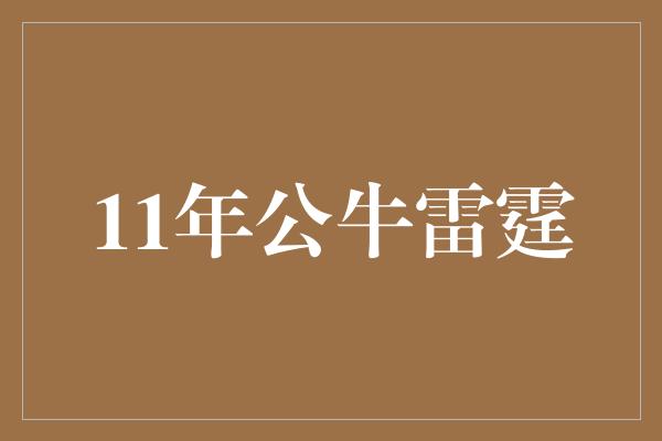 11年公牛雷霆