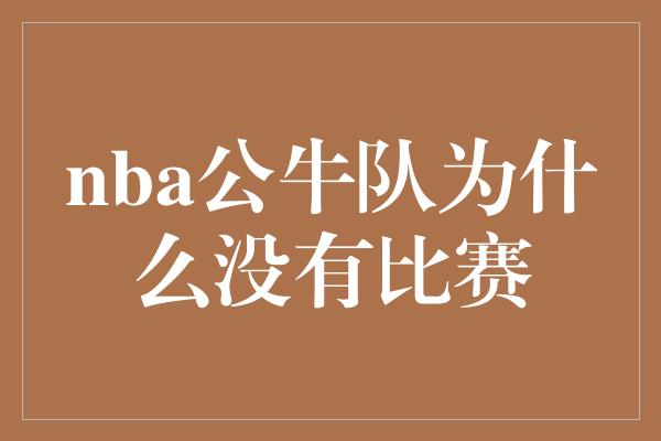 nba公牛队为什么没有比赛